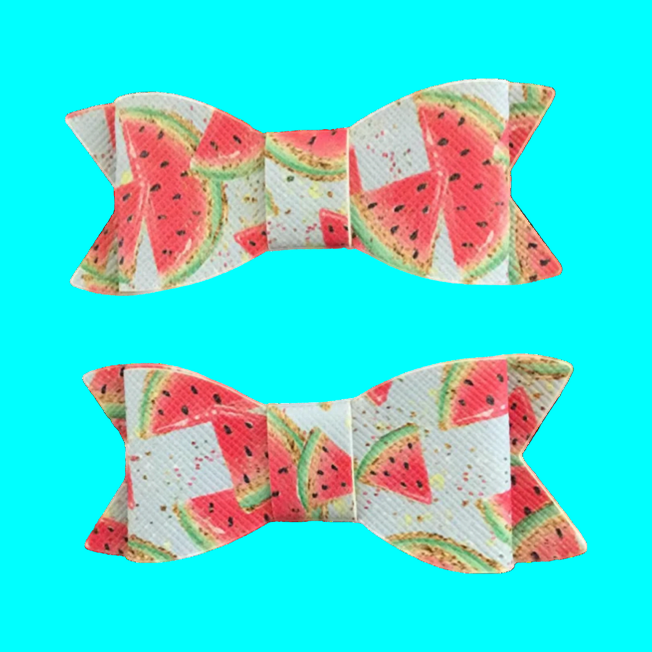 Watermelons Bow Clips Set