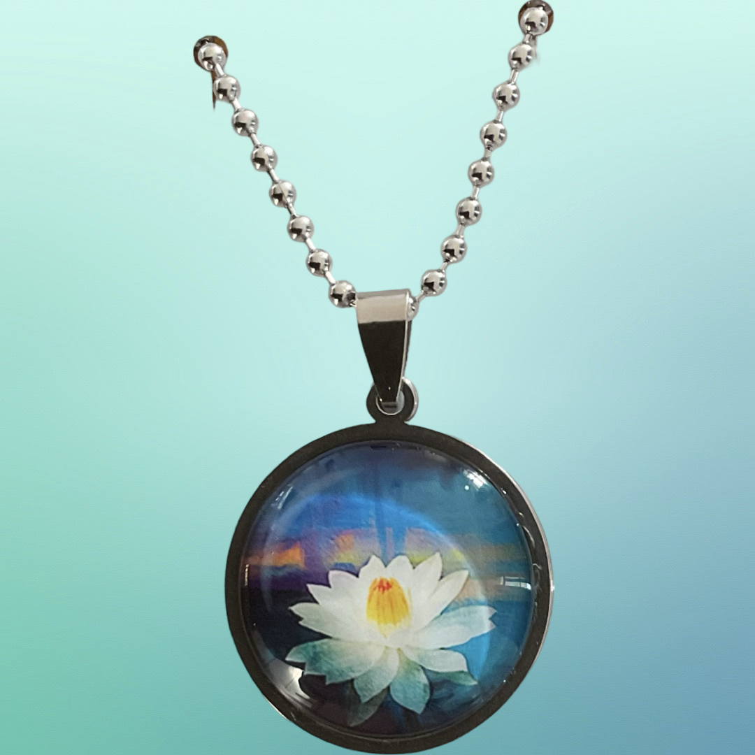 Water Lily