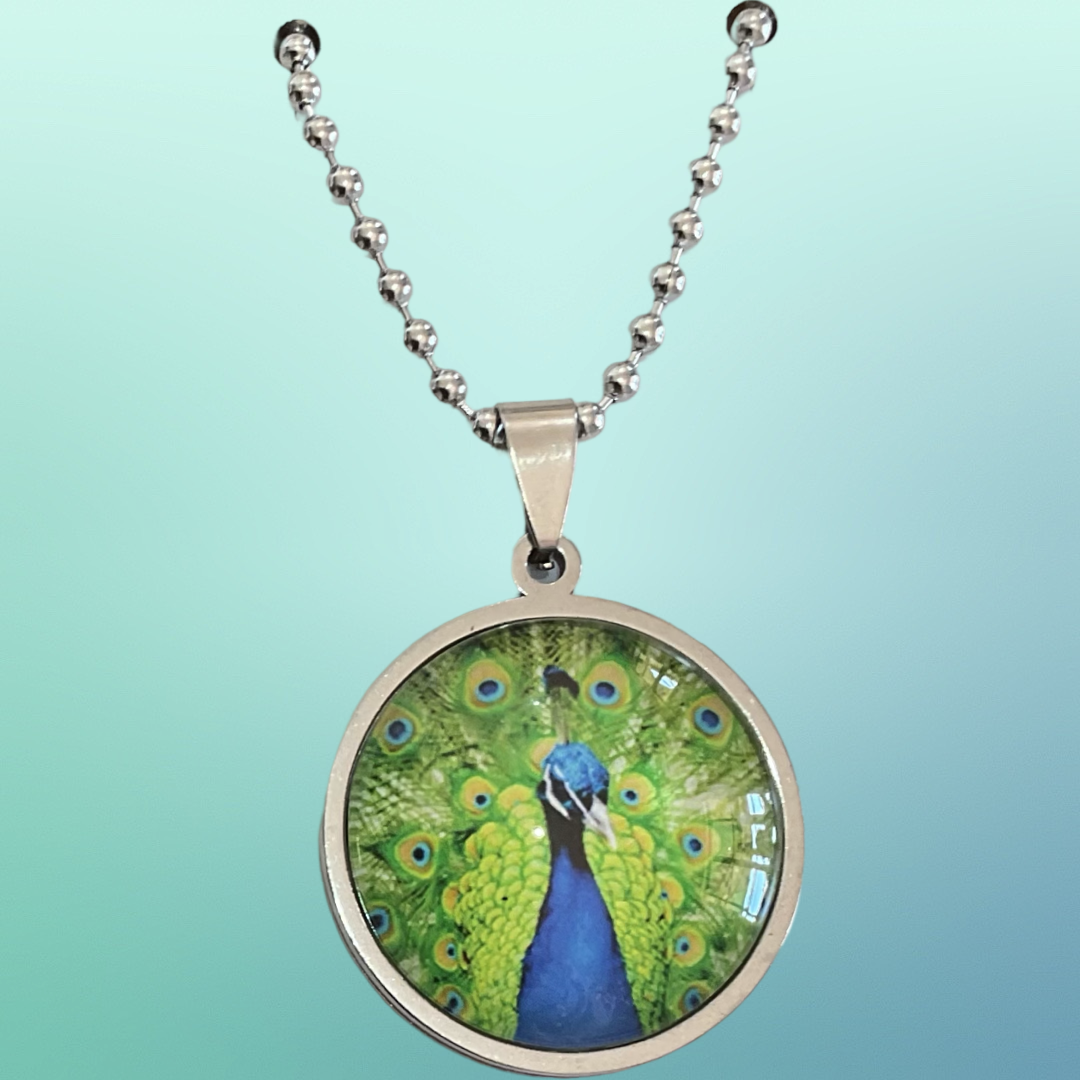 Beautiful Peacock