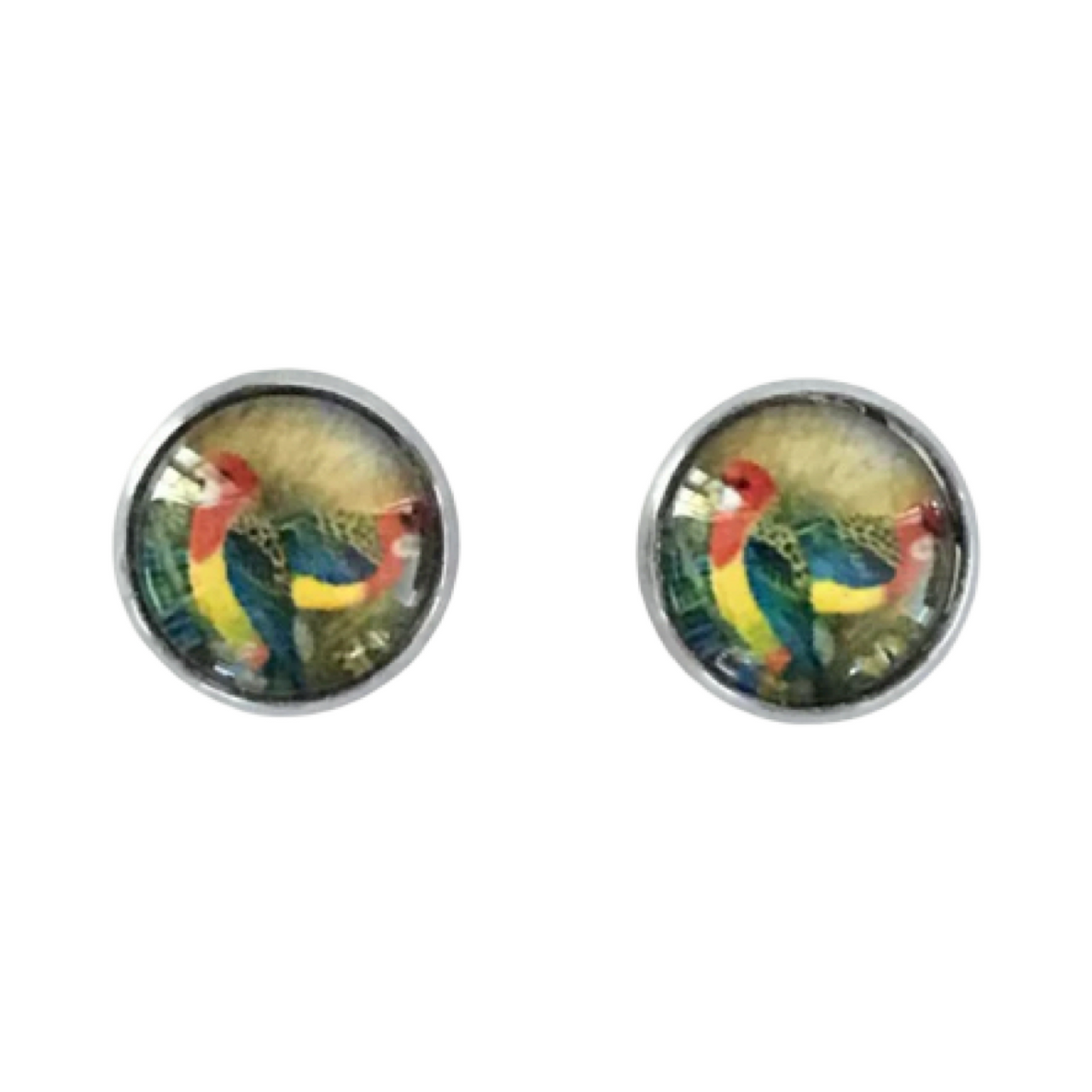 Rosella  12mm glass dome SALE