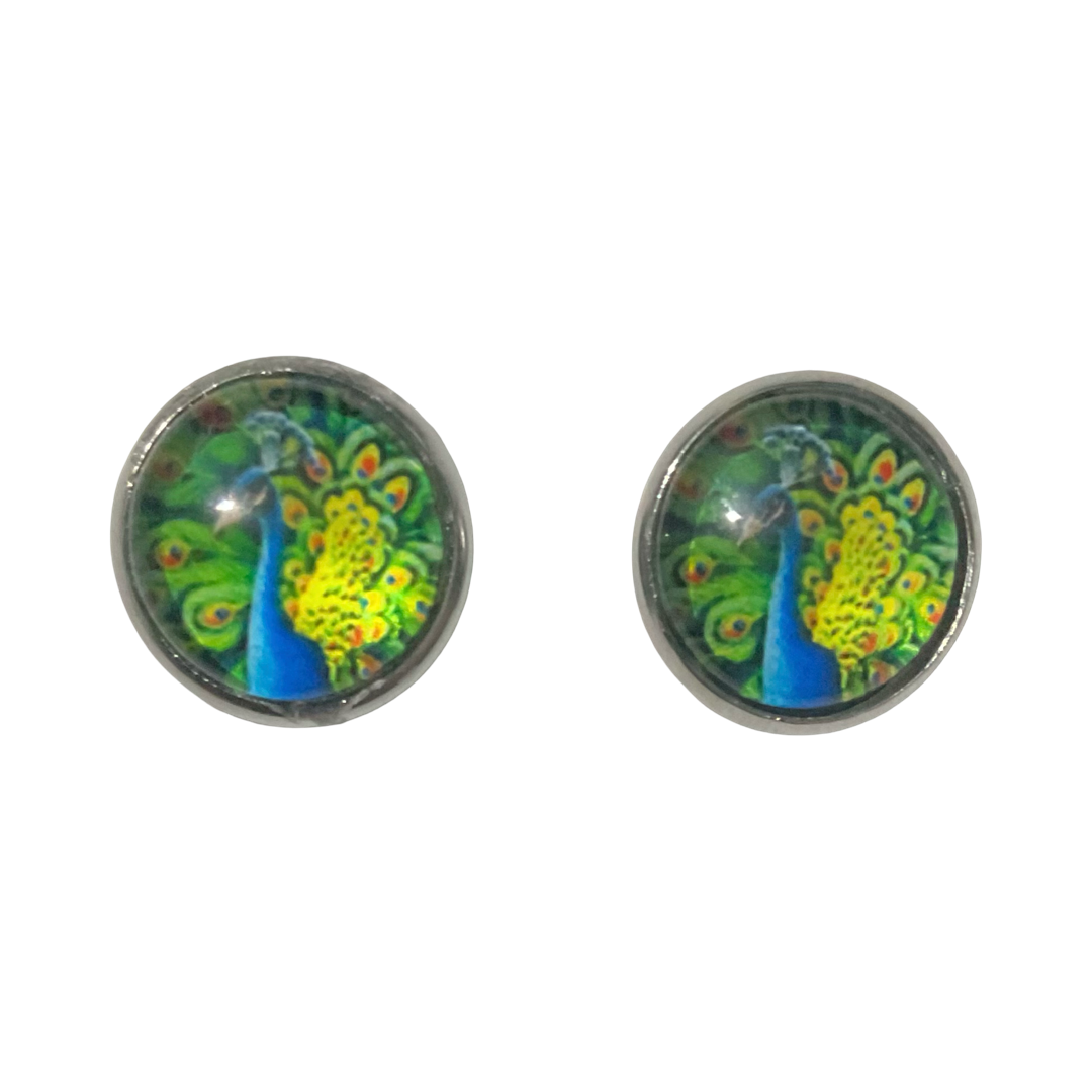Magnificent Peacock dome earrings 12mm
